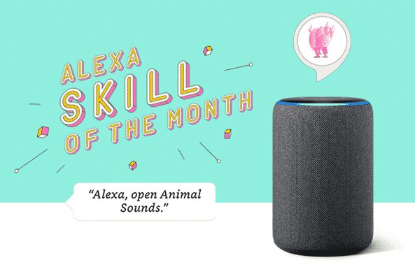 Keeping up with Alexa with skills for the Summer 1