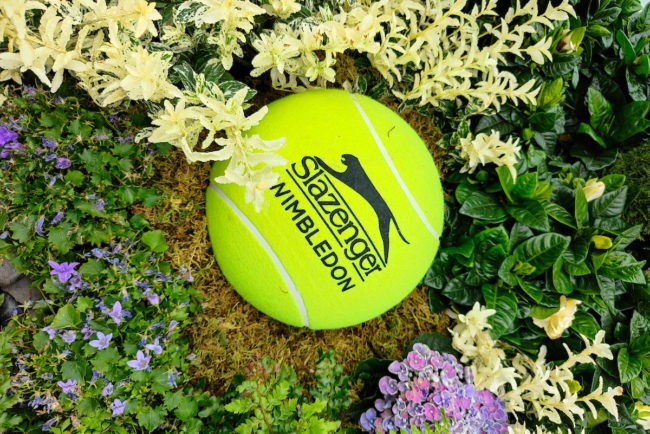 Wimbledon Colours Tennis Ball