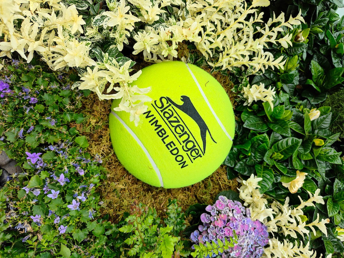 Wimbledon Colours Tennis Ball