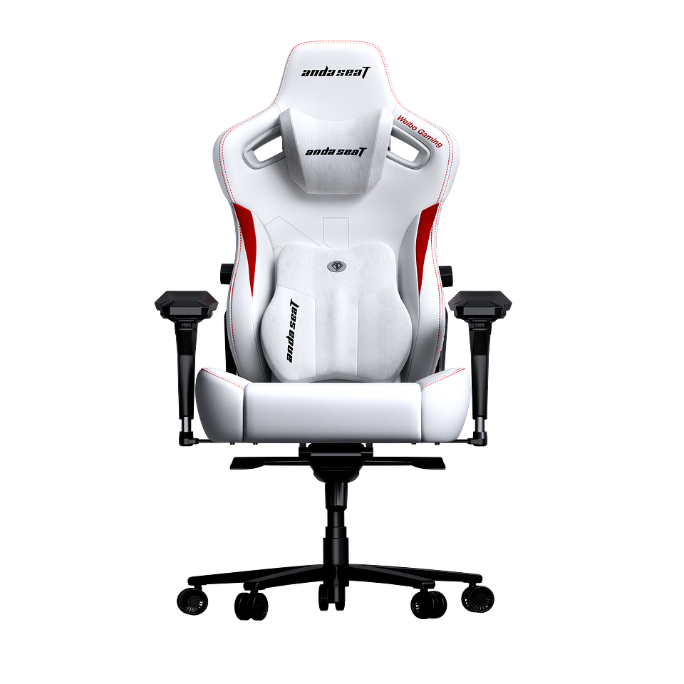 AndaSeat WBG Edition Gaming Chair