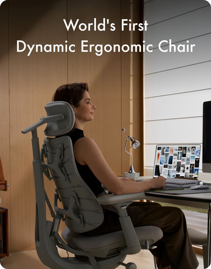 Kickstarter Launch: LiberNovo Omni - Your New Command Centre 1 Libranovo Chair Kickstarter