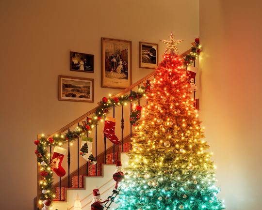 Govee Black Friday 2025 05