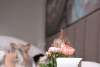 uHoo Caeli Bedside & Dog Lifestyle