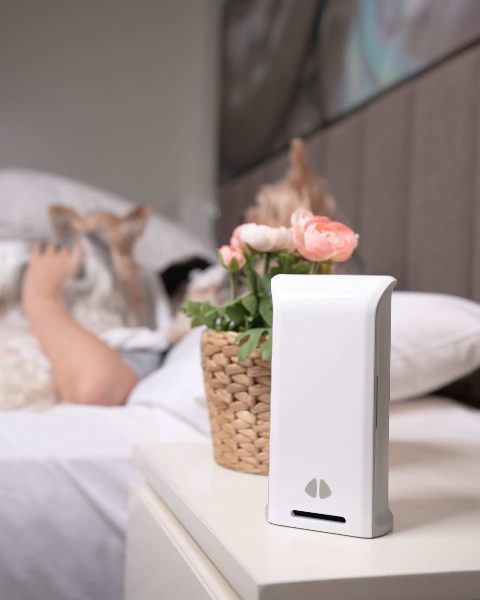 uHoo Caeli Bedside & Dog Lifestyle