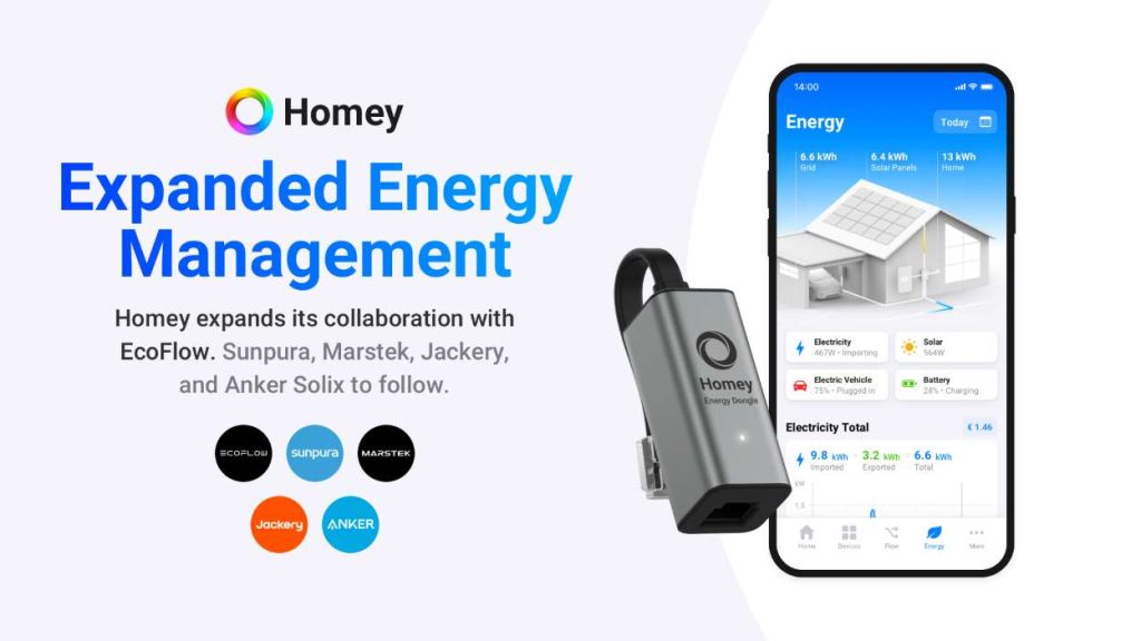 homey energy management