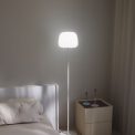 white light