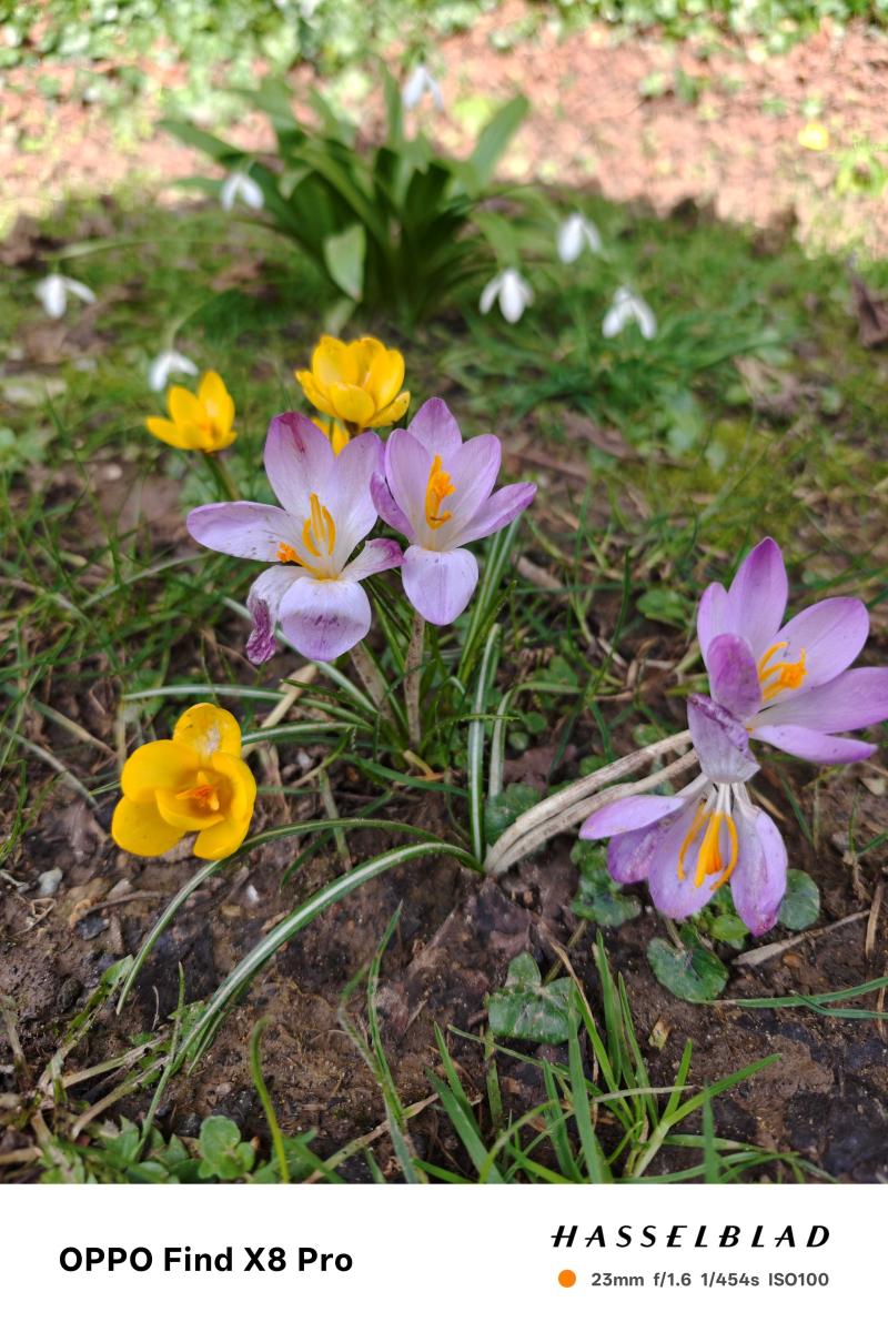 Oppo-Find-X8-Pro-Camera-Sample-11