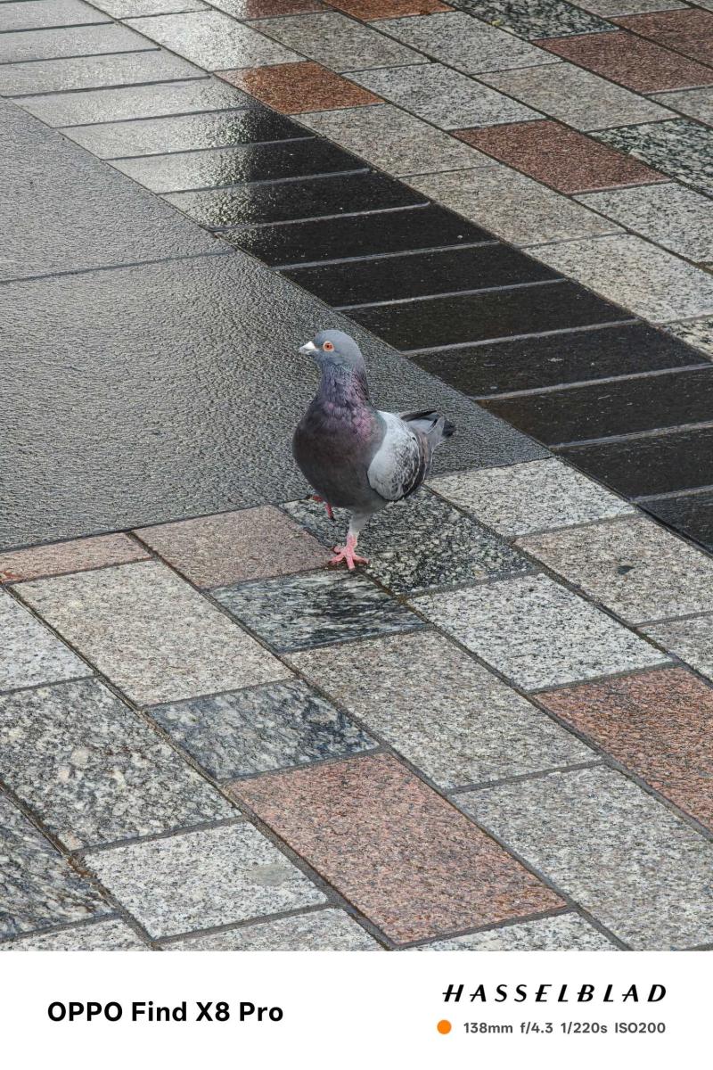 Oppo-Find-X8-Pro-Camera-Sample-12