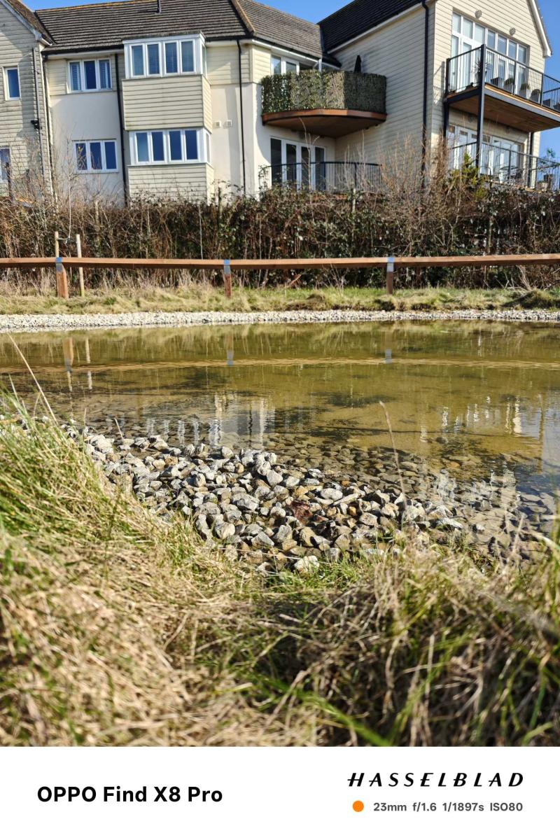 Oppo-Find-X8-Pro-Camera-Sample-14