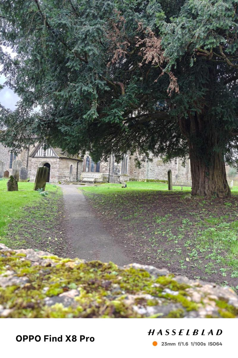 Oppo-Find-X8-Pro-Camera-Sample-3