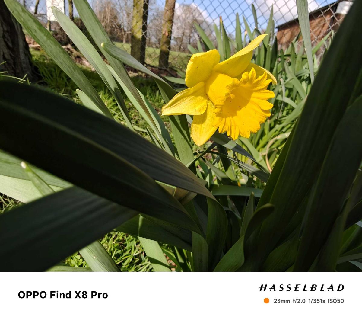 Oppo-Find-X8-Pro-Camera-Sample-8