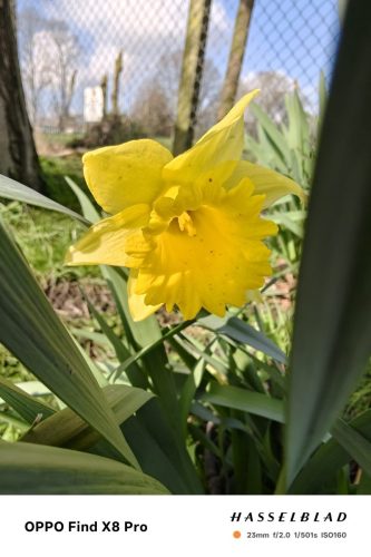 oplus_3145760