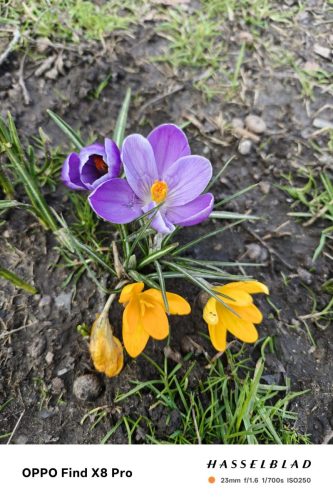 oplus_3145760