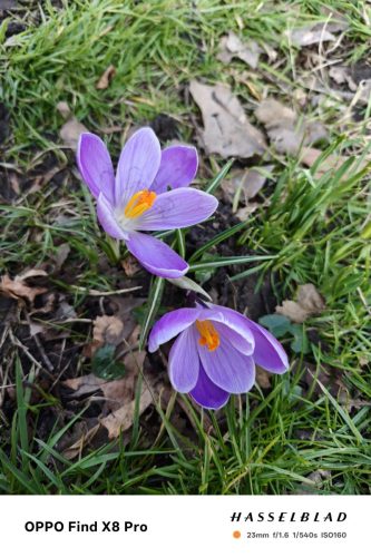 oplus_3145760