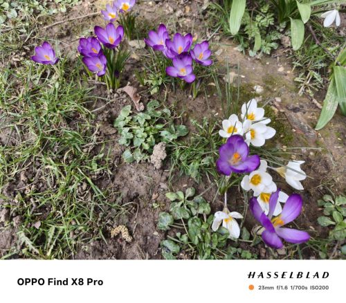 oplus_3145728