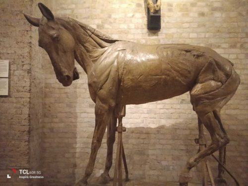 TCL 60R Review: Punching Above Its Weight in the Budget Arena 121