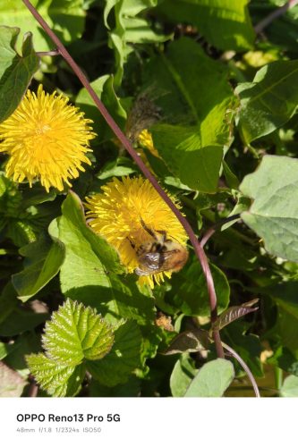 Oppo Reno 13 Pro Review: Is This the Premium Mid-Ranger to Beat in 2025? 10