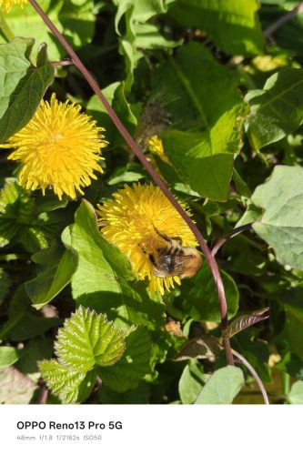 Oppo Reno 13 Pro Review: Is This the Premium Mid-Ranger to Beat in 2025? 12