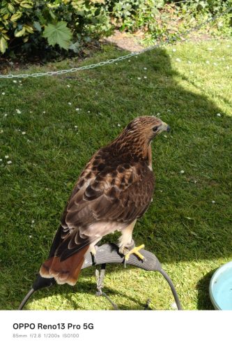 Oppo Reno 13 Pro Review: Is This the Premium Mid-Ranger to Beat in 2025? 28