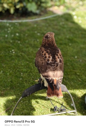 Oppo Reno 13 Pro Review: Is This the Premium Mid-Ranger to Beat in 2025? 31