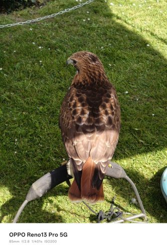 Oppo Reno 13 Pro Review: Is This the Premium Mid-Ranger to Beat in 2025? 30