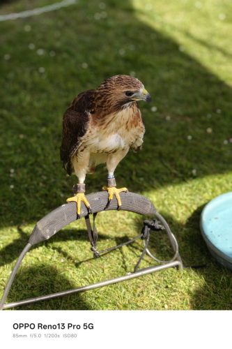 Oppo Reno 13 Pro Review: Is This the Premium Mid-Ranger to Beat in 2025? 33