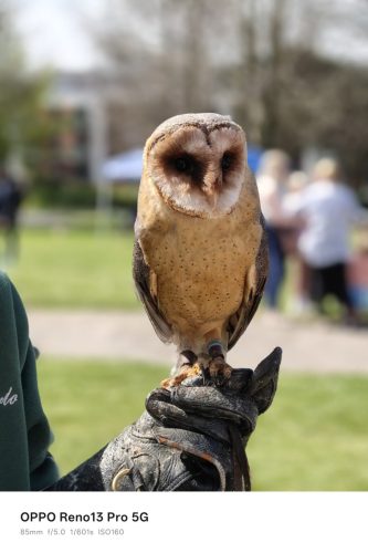 Oppo Reno 13 Pro Review: Is This the Premium Mid-Ranger to Beat in 2025? 35