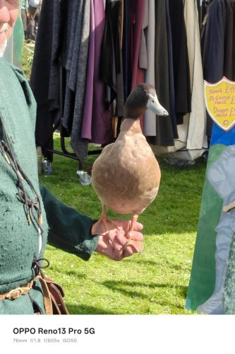 The Duck was called Dog