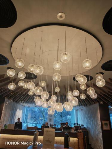 Review of the Honor Magic 7 Pro: An In-Depth Exploration of a Flagship Contender 16