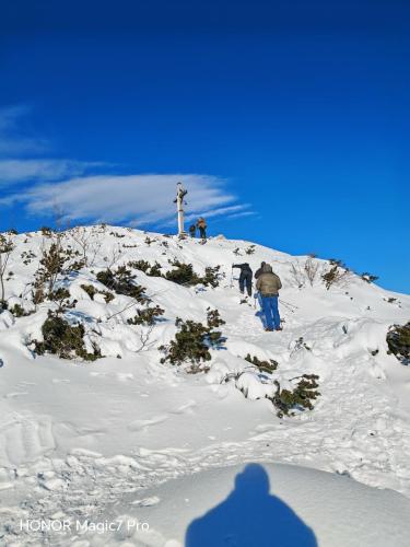 Review of the Honor Magic 7 Pro: An In-Depth Exploration of a Flagship Contender 183