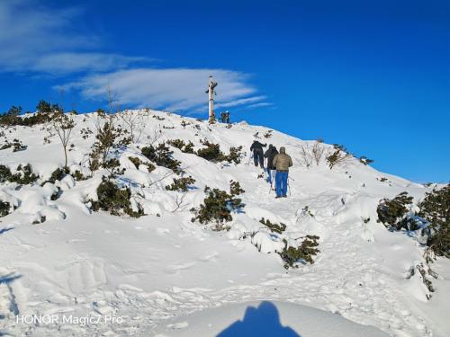 Review of the Honor Magic 7 Pro: An In-Depth Exploration of a Flagship Contender 179