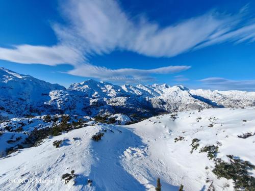 Review of the Honor Magic 7 Pro: An In-Depth Exploration of a Flagship Contender 180