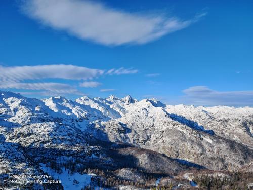 Review of the Honor Magic 7 Pro: An In-Depth Exploration of a Flagship Contender 181