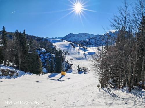 Review of the Honor Magic 7 Pro: An In-Depth Exploration of a Flagship Contender 194