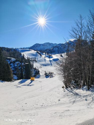 Review of the Honor Magic 7 Pro: An In-Depth Exploration of a Flagship Contender 193