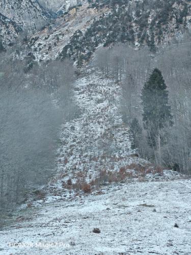 Review of the Honor Magic 7 Pro: An In-Depth Exploration of a Flagship Contender 196