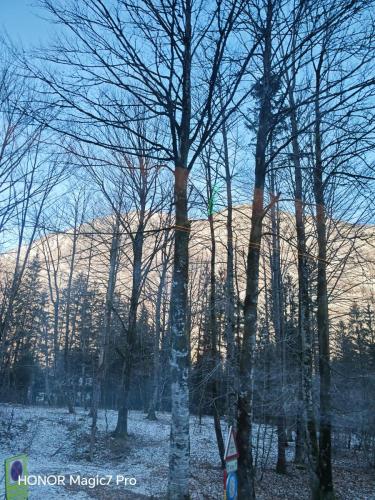 Review of the Honor Magic 7 Pro: An In-Depth Exploration of a Flagship Contender 192