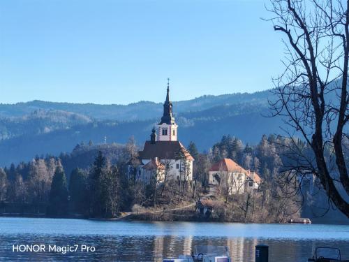 Review of the Honor Magic 7 Pro: An In-Depth Exploration of a Flagship Contender 197