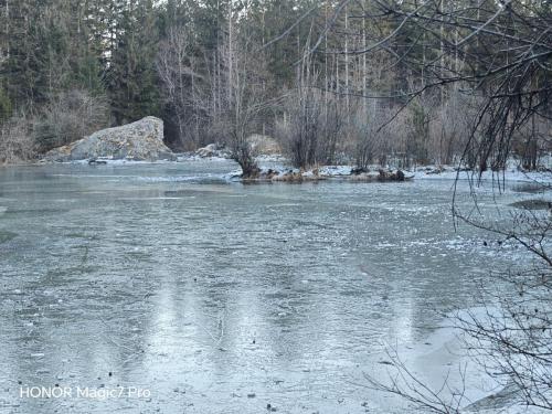 Review of the Honor Magic 7 Pro: An In-Depth Exploration of a Flagship Contender 174