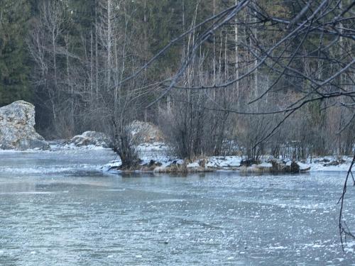 Review of the Honor Magic 7 Pro: An In-Depth Exploration of a Flagship Contender 177