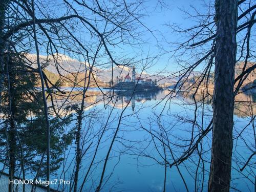 Review of the Honor Magic 7 Pro: An In-Depth Exploration of a Flagship Contender 180