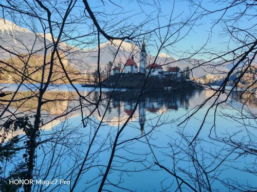 Review of the Honor Magic 7 Pro: An In-Depth Exploration of a Flagship Contender 178