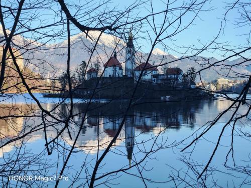 Review of the Honor Magic 7 Pro: An In-Depth Exploration of a Flagship Contender 179