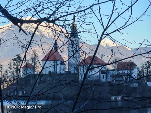 Review of the Honor Magic 7 Pro: An In-Depth Exploration of a Flagship Contender 192