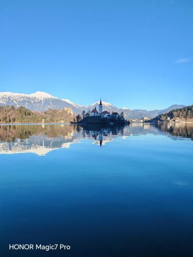 Review of the Honor Magic 7 Pro: An In-Depth Exploration of a Flagship Contender 184