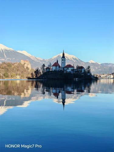 Review of the Honor Magic 7 Pro: An In-Depth Exploration of a Flagship Contender 181