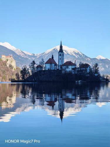 Review of the Honor Magic 7 Pro: An In-Depth Exploration of a Flagship Contender 186