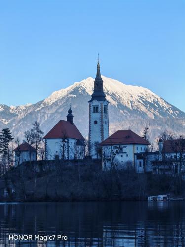 Review of the Honor Magic 7 Pro: An In-Depth Exploration of a Flagship Contender 182