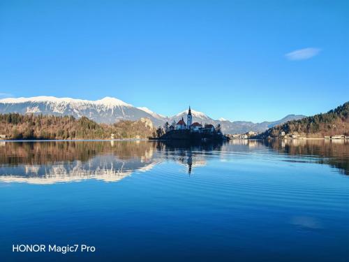 Review of the Honor Magic 7 Pro: An In-Depth Exploration of a Flagship Contender 185