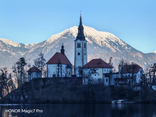 Review of the Honor Magic 7 Pro: An In-Depth Exploration of a Flagship Contender 189